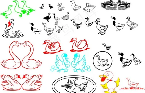 鸭图片