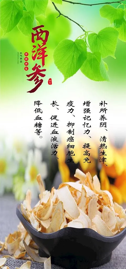 西洋参图片(14173x7087)psd模版下载