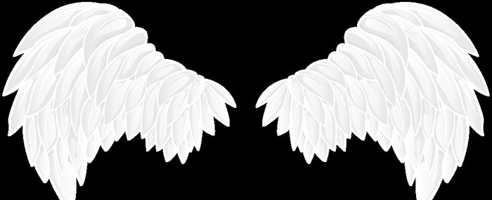 翅膀图片(8000x3506)