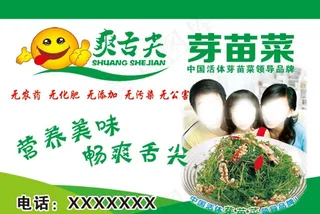 芽苗菜素材图片