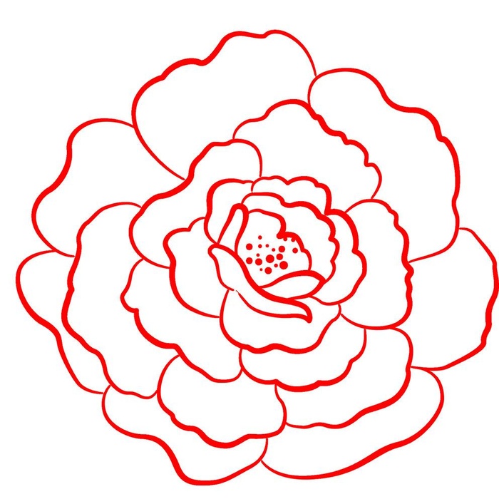 线条牡丹花图片(1772x1772)psd模版下载