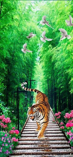 唯美竹林风景图片