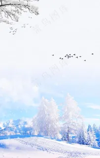 冬天背景图片