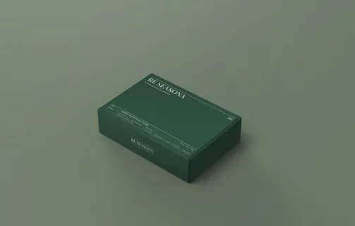 飞机包装盒样机图片