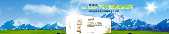 雪山草地图片(1920x450)psd模版下载