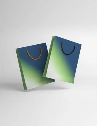 手提袋样机 图片