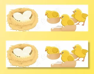 矢量小鸡图片