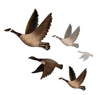 大雁图片 大雁图片