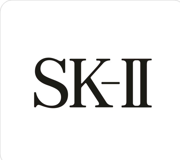 sk2标志图片