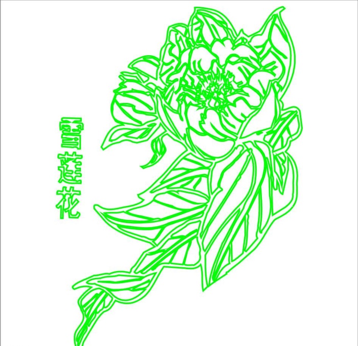 雪莲花图片cdr矢量模版下载