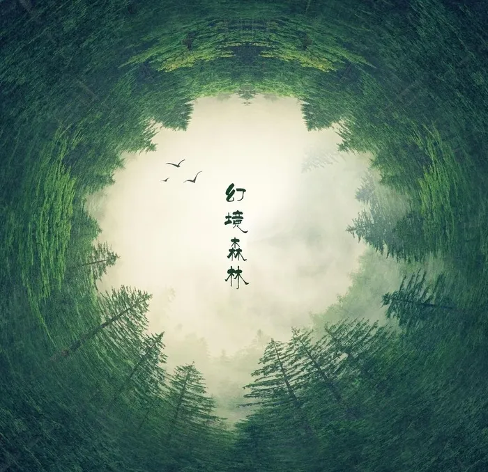 森林图片(4000x4000)psd模版下载