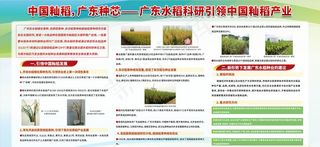 农业绿色展板图片