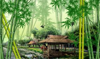 竹林 草屋图片