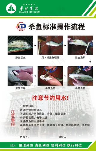 杀鱼标准操作流程图片