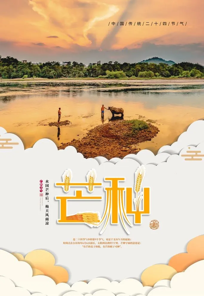 芒种图片(3543x5315)psd模版下载