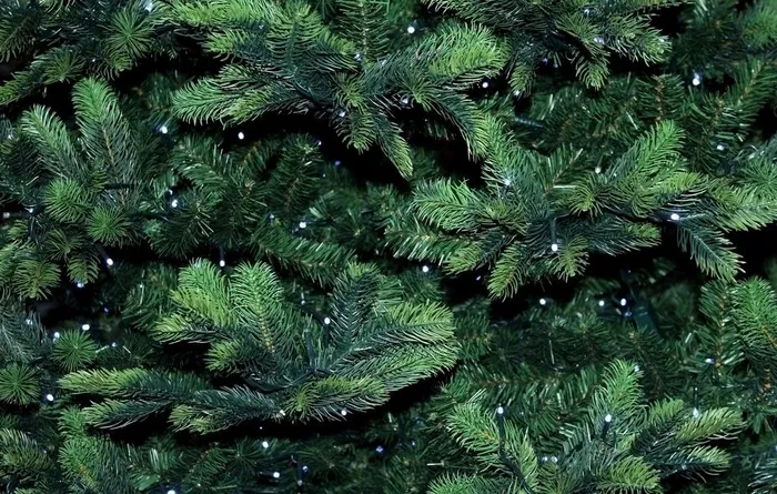 圣诞树背景图片