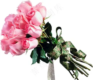 粉色玫瑰花图片