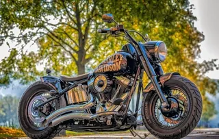 哈雷摩托车图片