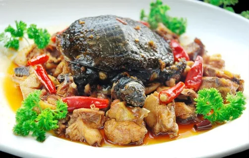 焖甲鱼图片