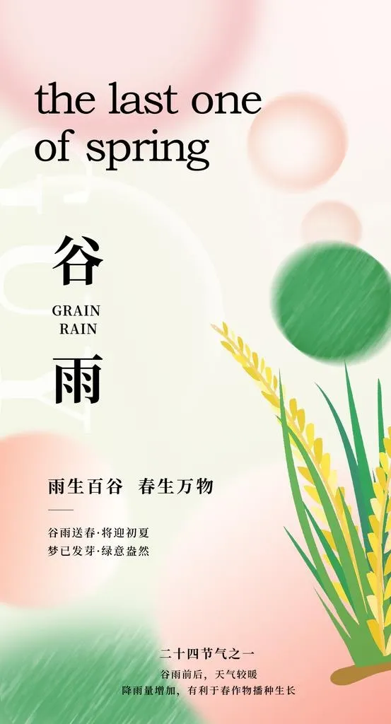 谷雨海报图片(1134x1984)psd模版下载