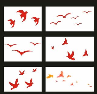 鸽子 白鹭 飞鸟  图片