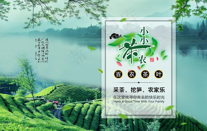 茶叶图片psd模版下载