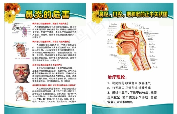 鼻炎的危害图片cdr矢量模版下载