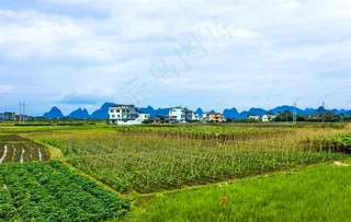 田园菜地图片