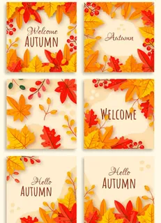 秋天枫叶红色背景图片