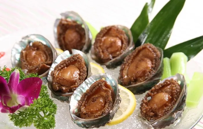 冰镇卤水小鲍鱼图片