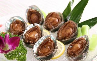 冰镇卤水小鲍鱼图片