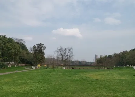 草坪图片 草坪图片