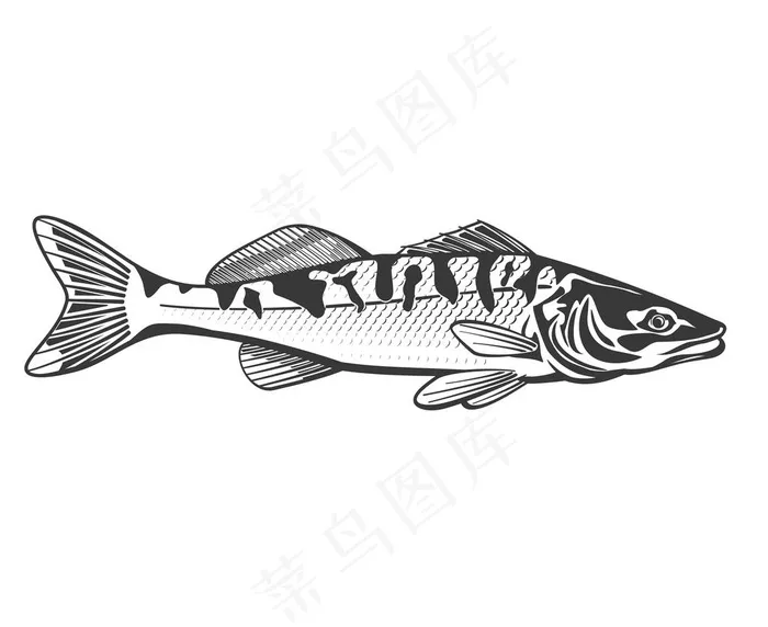 鱼图片ai矢量模版下载