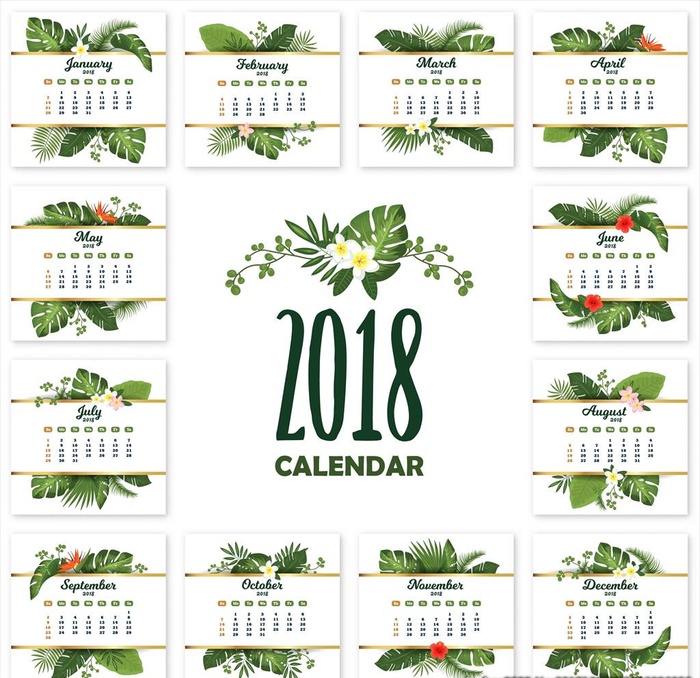 2018年手绘热带树叶日历台历图片