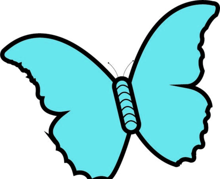 矢量蝴蝶图片