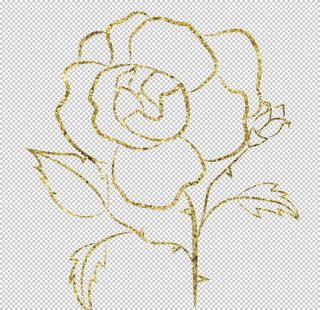 金色线条花朵图案图片
