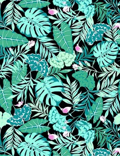 热带植物图片 热带植物图片