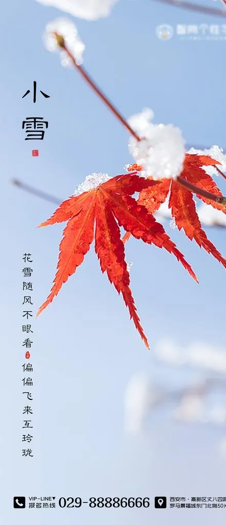 二十四节气海报 小雪海报图片cdr矢量模版下载