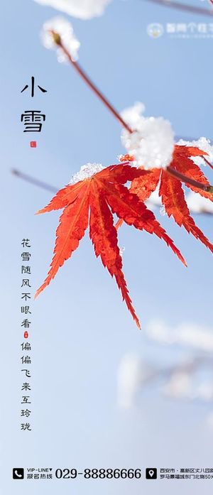 二十四节气海报 小雪海报图片