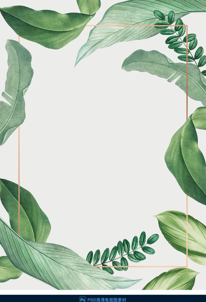 水彩植物叶片透明素材图片