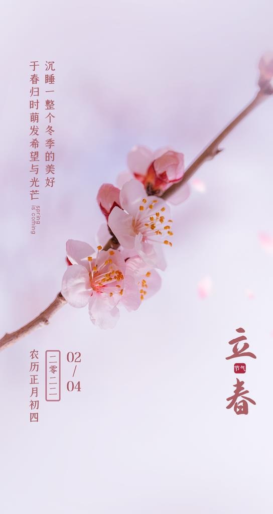 立春             图片