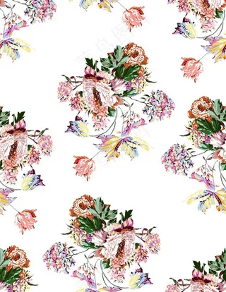 大牌 矢量花卉图片