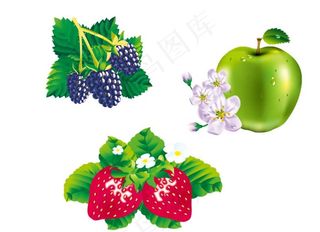 草莓 苹果 桑葚图片