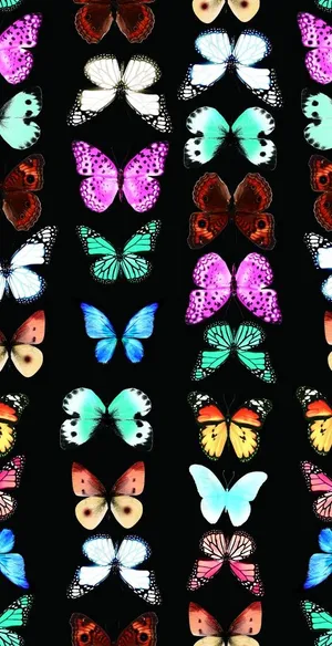 蝴蝶 数码印花图片