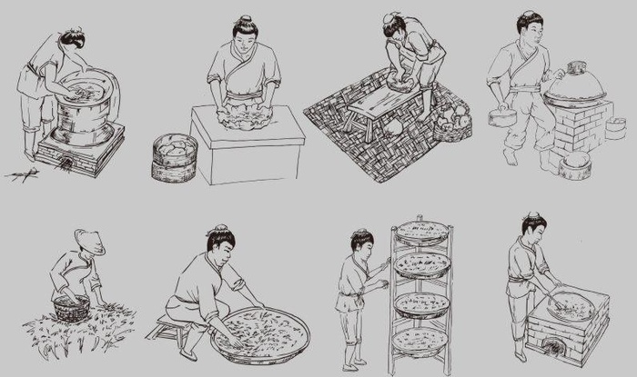 茶叶制作工艺矢量图图片cdr矢量模版下载