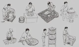 茶叶制作工艺矢量图图片