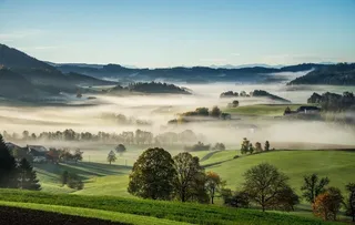 雾气乡村景观 图片