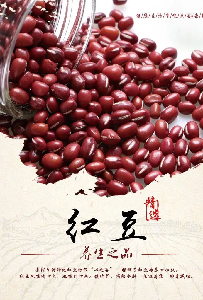 红豆海报图片(3543x5012)psd模版下载