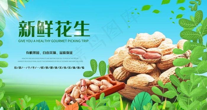 花生图片psd模版下载