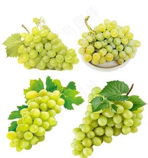 绿葡萄 提子图片